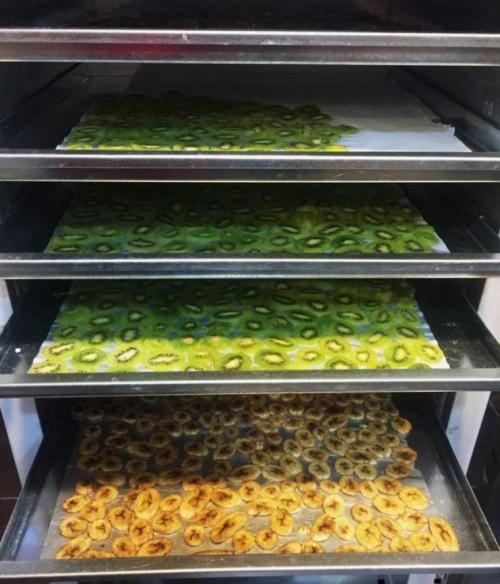 نمایی از میوه های زیبای خشک شده توسط خشک کن میوه و خشک کن سبزی مدل AS20